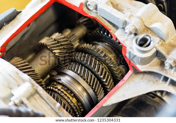 Gear box or transmission with helical gears of\
modern car in driving\
school