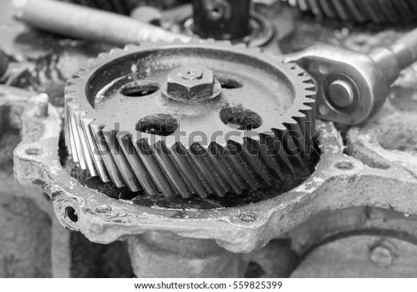 gear on engine - black and
white