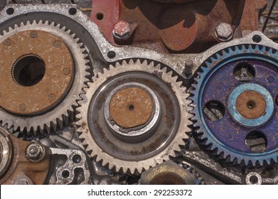 Gear Wheels. Gear Train 