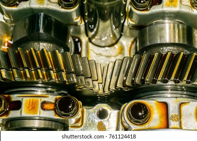 Gears in car engine with lubricant oil on repairing.