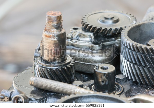 gears in the\
engine