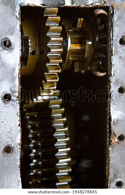 Gears with oil of\
service transmission gear