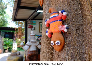 Gecko.