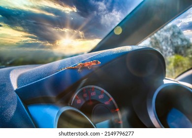 A Gecko On The Dashboard An Uninvited Guest In The Car