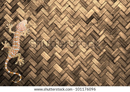 Gecko on the wall Light brown  color paint weave wall for background