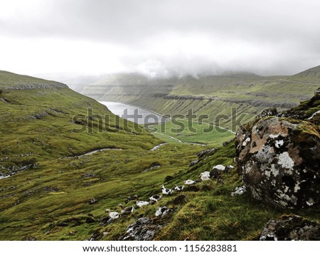 Similar – downpour Nature Landscape