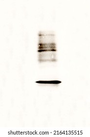 Gel Electrophoresis Scanner Art Science