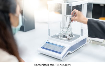 The Gemologist Shows The Method Of Using The Hydrostatic Weighing Balance To Study The Specific Gravity Of The Precious Stone.