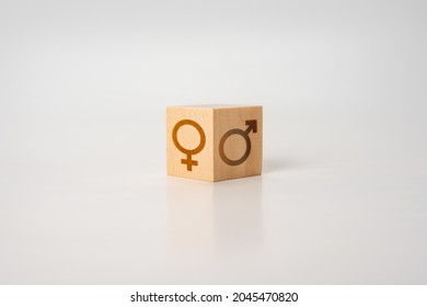 gender equality and difference. conceptual image, a wooden cube of the mtr is a sign of the male and female gender. copy space. white background