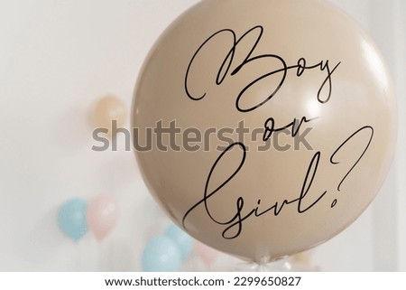 gender reveal party. Boy or girl reveal party. gender party. boy or girl. blue and pink. balloons. celebration concept when the gender of the child becomes known. Baby's gender reveal party.