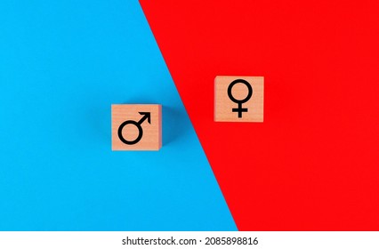 Gender Signs On Wooden Cubes On A Blue And Red Background. Gender Stereotypes, Gender Colors, Gender Division