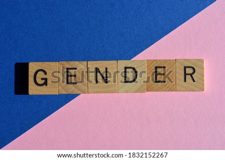 Gender, word in wood alphabet letters isolated on blue and pink background. 