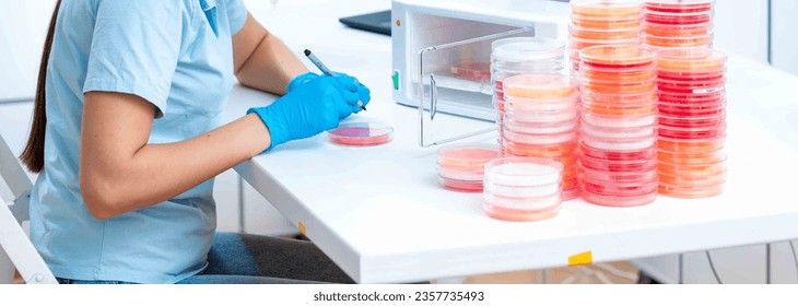 Gene regulation studies: Petri dishes are employed to study gene regulation mechanisms, including transcriptional regulation or epigenetic modifications Cells or organisms are cultured in th
