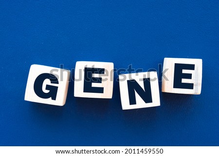 GENE word made with wooden blocks isolated on blue background