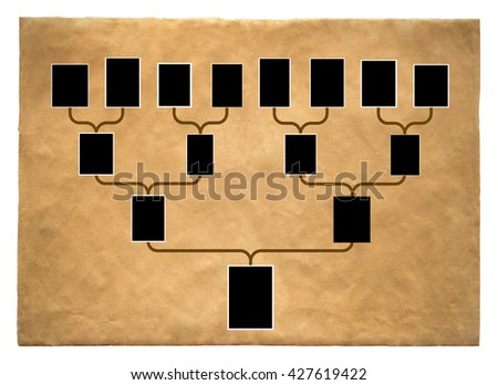Genealogical tree of family with empty frames for photos 