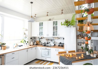 The general plan of a light white modern rustic kitchen with a modular metal staircase decorated with potted plants. Interior of a house with homeplants - Powered by Shutterstock