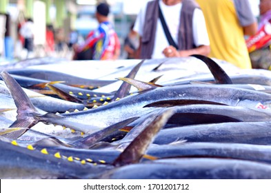 General Santos City Philippines Fish Port Complex The Country's Premier Fish Producer. It Has A Total Daily Catch That Can Surpass Any Other Fish Ports