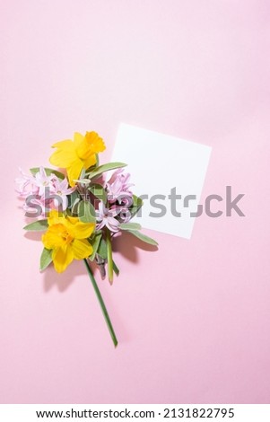 General shot, spring composition with pink background, daffodil and jasmine flowers, for Mother's Day or Woman's Day, with a white label for text.