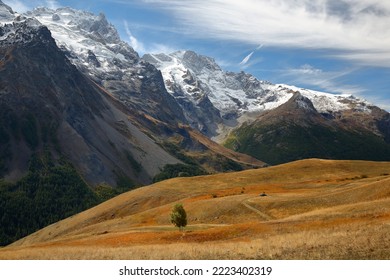 General view of the Meije Peak in Ecrins National Park, Romanche Valley, Hautes Alpes (French Southern Alps), France, with Autumn colors. Picture taken from a hiking path above Villar d'Arene