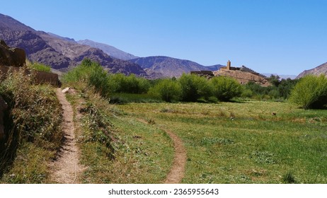General view of a vast field of natural food agriculture, without products or pesticides, in an ecological and traditional way, under high heat, use of traditional tools, under a mountain background  - Powered by Shutterstock