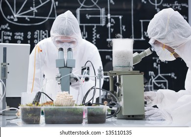 general-view  of two people analyzing under microscope in a chemistry lab around sprouted plants and mushrooms