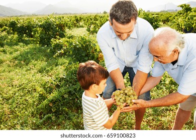 Generational Family Holding Grapes