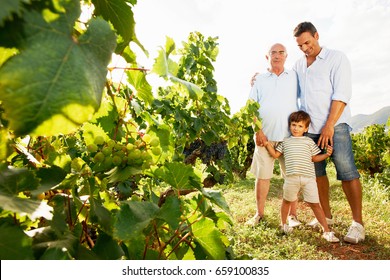 Generational Family In Vineyard