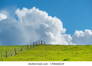 Generic Green Farmland With Blue Sky And Fluffy White Clouds Behind.