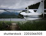 A generic seaplane without a brand or logo sits in a quiet lake on a stormy day in Alaska.  It is tied to a dock with a canoe tied to the other side.  Reeds are growing around the dock and plane.