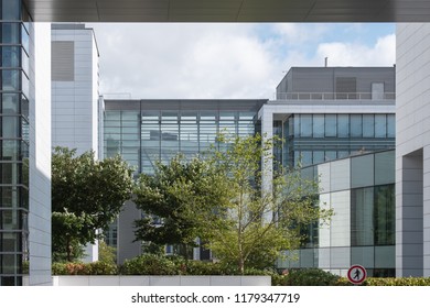 Generic White Office Buildings With Trees Inbetween Them