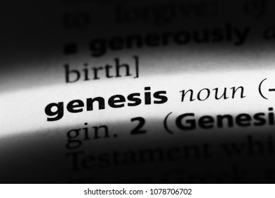 Genesis Word In A Dictionary. Genesis Concept