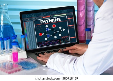 genetic engineer working with analysis dna software on laptop in the genetic laboratory / research geneticist using computer with structure test dna in biotechnology lab