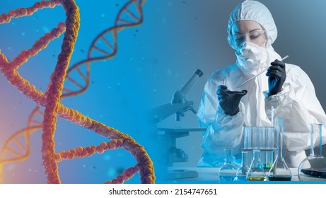 Genetic engineering. Female scientist works against the background of DNA chains. Genetics science. Human genome study. The study of the genetic DNA of human chromosomes. Medicine and biotechnology.