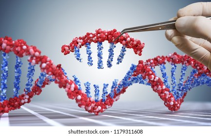 Genetic engineering, GMO and Gene manipulation concept. Hand is inserting sequence of DNA.  3D illustration of DNA.