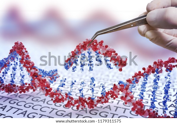 shutterstock