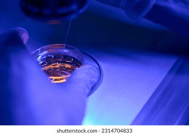 Genetic laboratory technician doing embryo biopsy in clinic