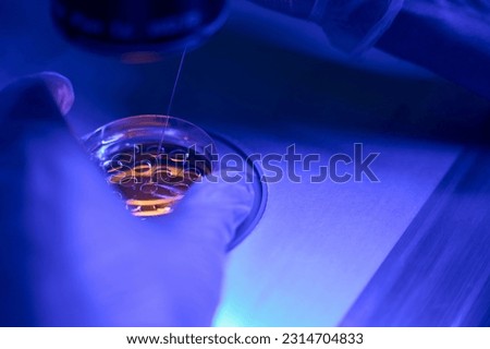 Genetic laboratory technician doing embryo biopsy in clinic