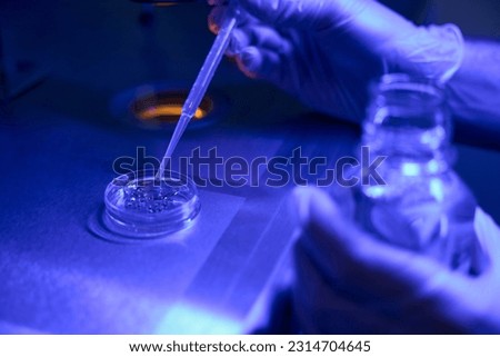 Genetic laboratory worker combining egg with sperm invitro