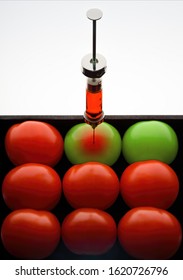 Genetic modification or ideological brainwashing indoctrination. Vintage syringe injecting color to tomatoes.  - Shutterstock ID 1620726796