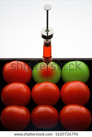 Genetic modification or ideological brainwashing indoctrination. Vintage syringe injecting color to tomatoes. 