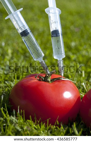 Genetic modification - tomatoes