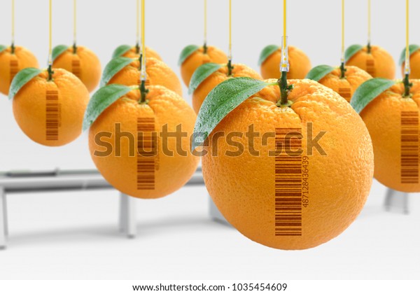 Genetically modified food concept (GMO).\
Oranges artificially produced in laboratory with hormones. With\
barcode (fake\
barcode).