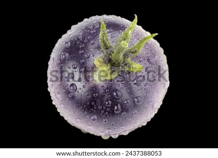 Genetically modified purple tomato enriched with lycopene and anthocyanins, glistening with water drops against a black background, merging science and aesthetics