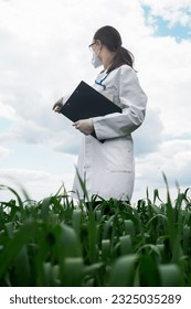 Geneticists, biologists and scientists study the genetic structure of wheat sprouts in the field, agro concept, farming