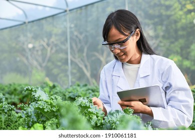 Geneticists, biologists, and scientists are studying the genetic structure of vegetables in a nursery. - Powered by Shutterstock