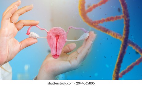 Genetics, reproduction. IVF. Female reproductive system. Fertilization and gestation. Exclusion of genetic pathology. Female fertility. Women health. Preventive examination by a gynecologist.