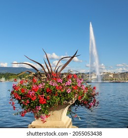The Geneva Water Fountain, Jet d'Eau, in Geneva, Switzerland. Some flowers in front of the fountain. Lake Geneva.