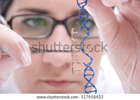 Genmanipulation