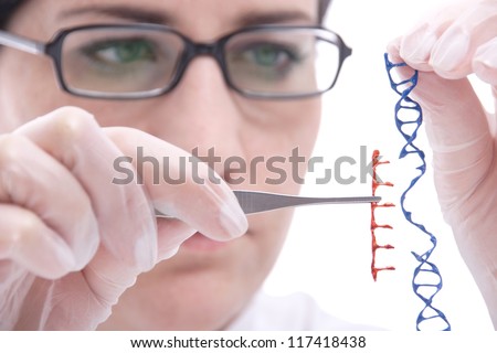 Genmanipulation