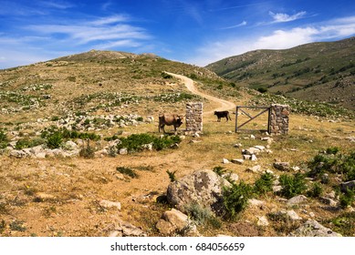 Gennargentu Landscape, Sardinia, Italy